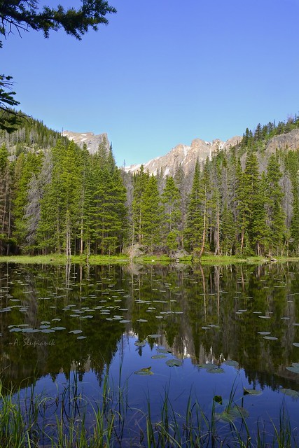 Rocky Mountain - Lake I