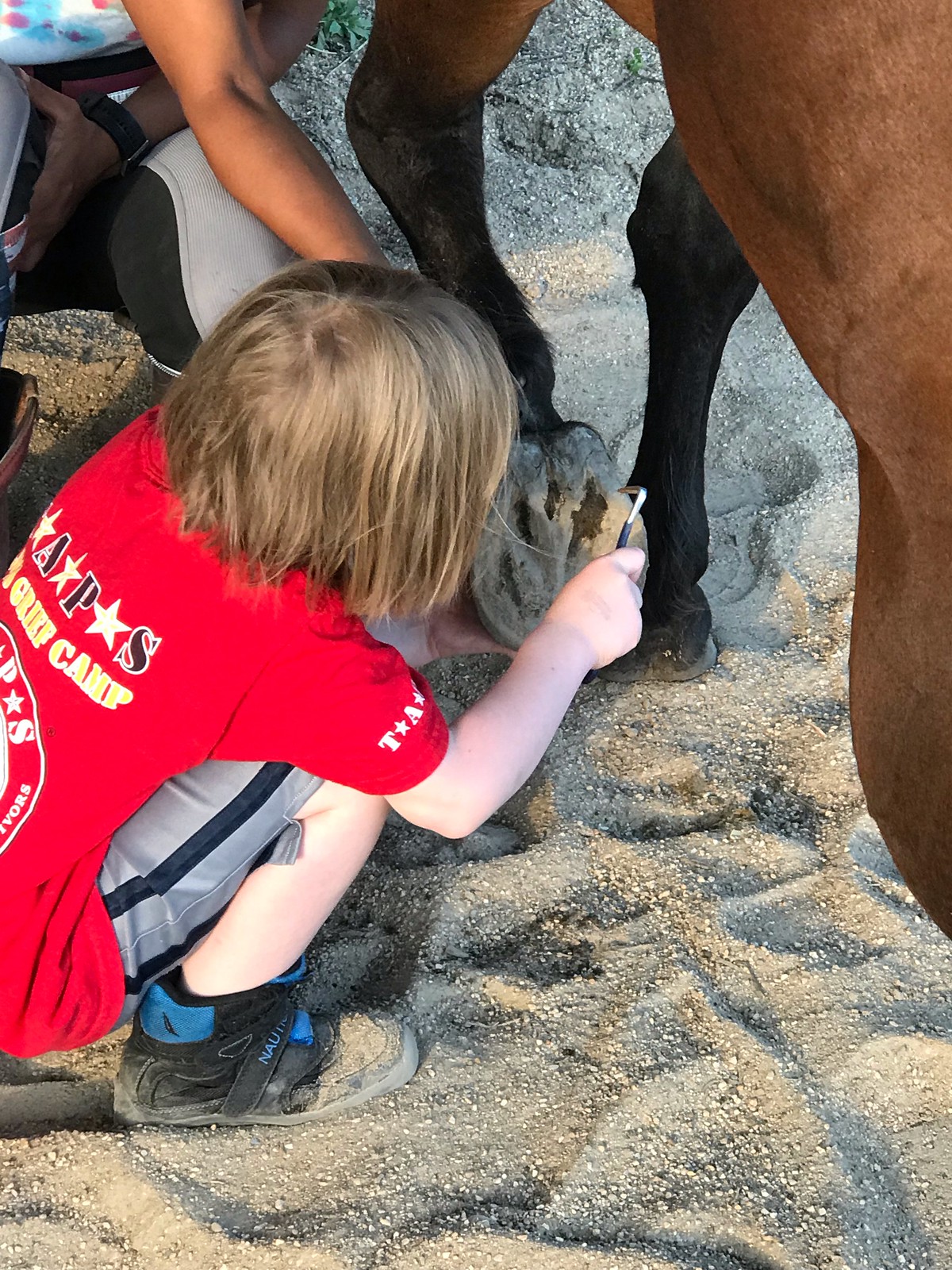 2019_TTG_Davidsonville MD Horses Help Heroes 6