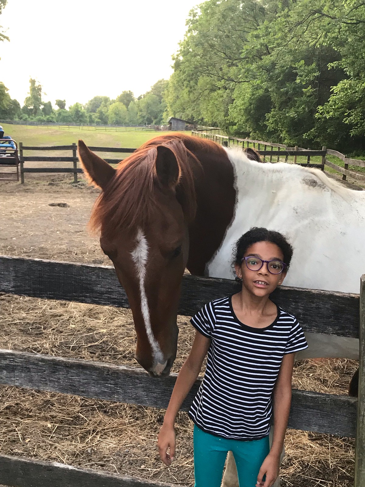 2019_TTG_Davidsonville MD Horses Help Heroes 2