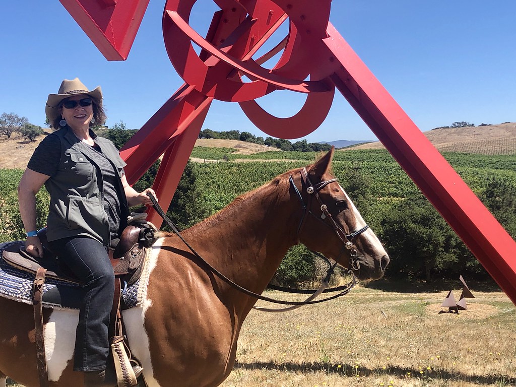 Nancy Brown, Sonoma Trail Rides, di Rosa Center for Contemporary Art
