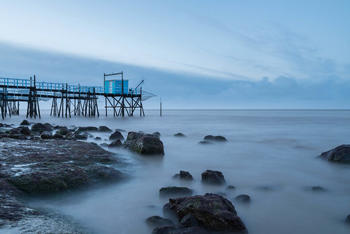 Misty Blue