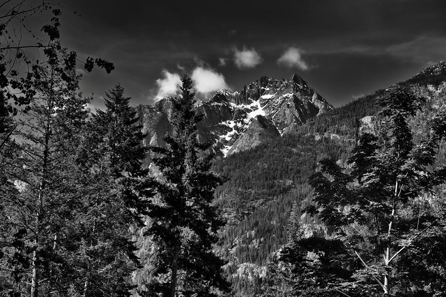 Castle Rock and Mountain Peaks Just Beyond the Trees (Black & White, North Cascades National Park Service Complex)