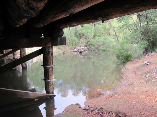 outdoor river margaret bridge bank tree margaretriver westernaustralia australia