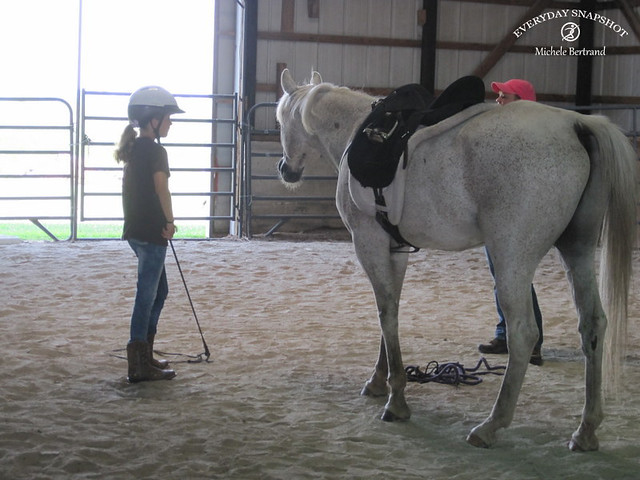 Horse Lessons 5 (1)
