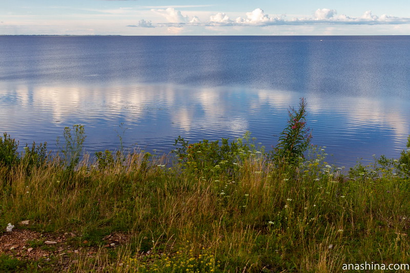 Ильменский глинт, Ильмень-озеро, Новгородская область