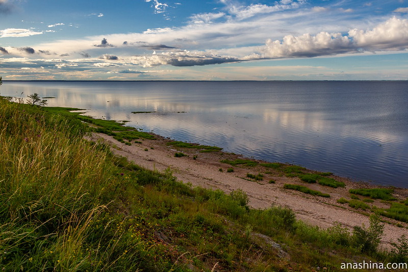 Ильменский глинт, Ильмень-озеро, Новгородская область