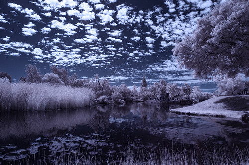 santeelakes lakenumber5 water clouds reflections santeelakes5 trees vegetation infrared infraredphotography ir convertedinfraredcamera surreal landscape highcontrast nature