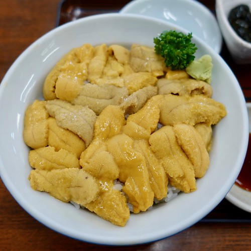 donburi hokkaido japan don seafood seaurchin うに ウニ丼 丼 北海道 日本