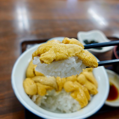 donburi hokkaido japan don seafood seaurchin うに ウニ丼 丼 北海道 日本