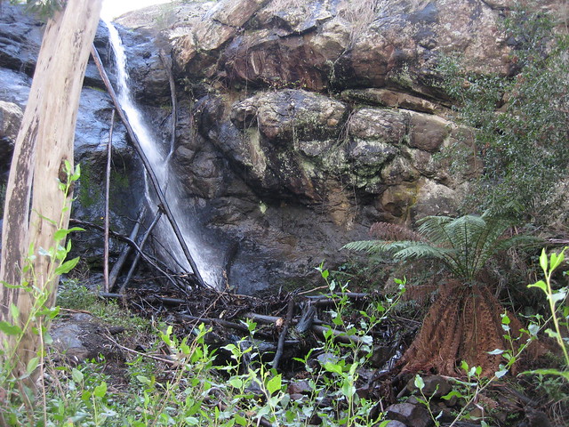 The Stanley Falls fed by the Turitable Creek; Stanley Park Mount Macedon