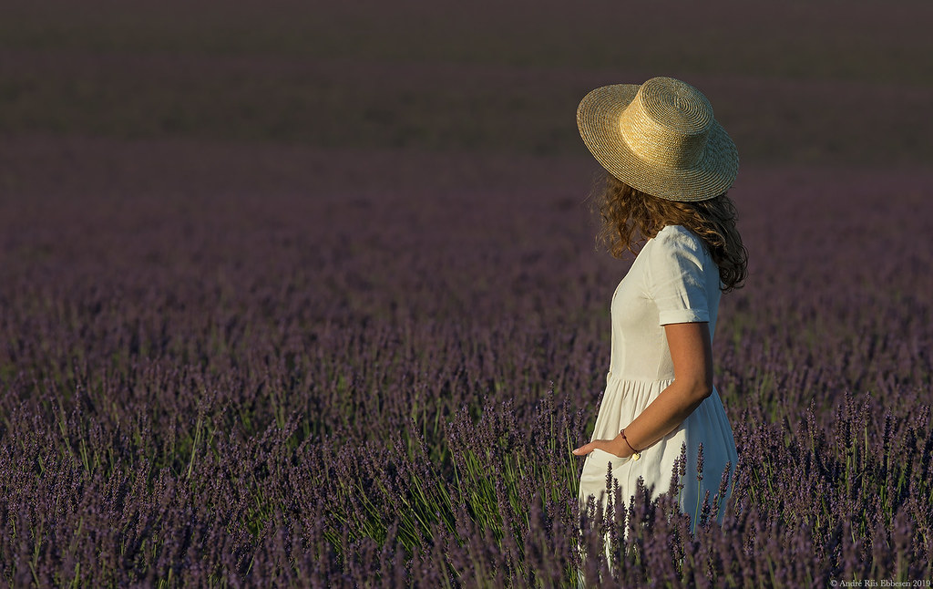 Beauty dressed in purple, Valensole, Provence