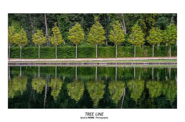 Tree line