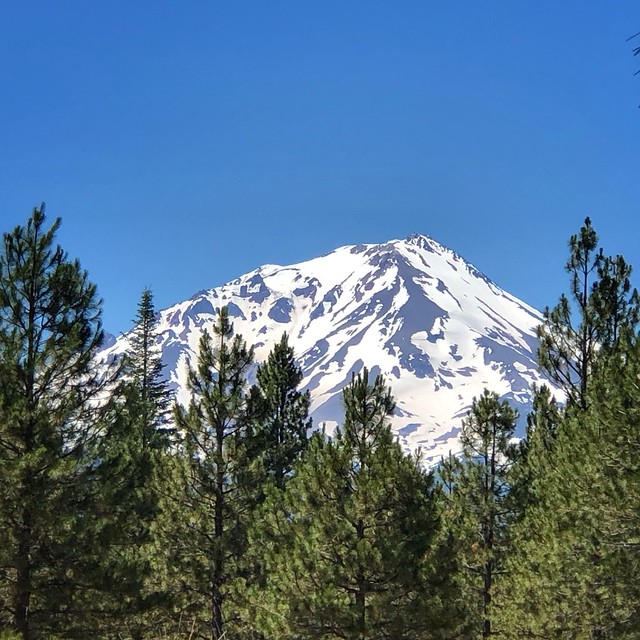 Mount Shasta from McCloud