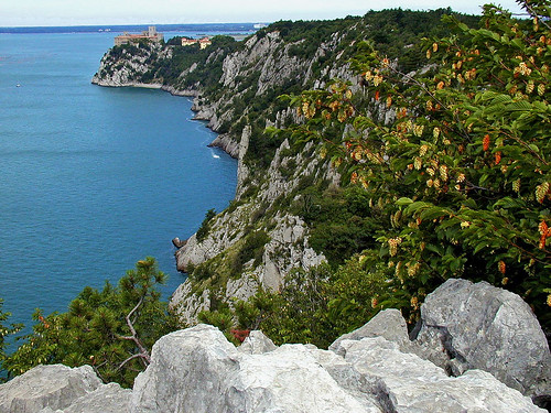 italy italia duino devin cliffs adriatic sea outdoors hiking landscape