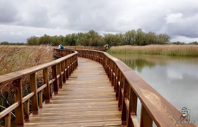 Paseamos por las Tablas de Daimiel