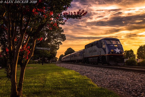 Flowered Sunset by alexdecker43, As the sun sets over the small town of Thomasville, the Crepe Myrtles catch the last rays of the sun