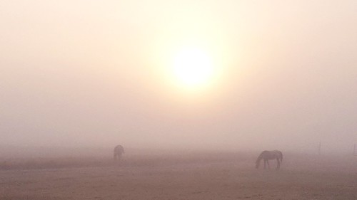 Foggy sunrise by mlepoul, 