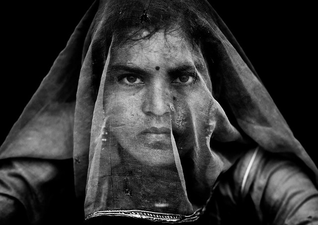 Portrait of a rajasthani woman hidding her face under a sari, Rajasthan, Jaisalmer, India