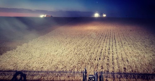 Schemper Harvesting