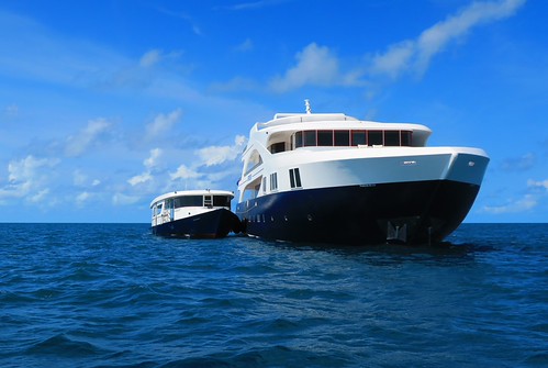 Emperor Serenity and dhoni 2