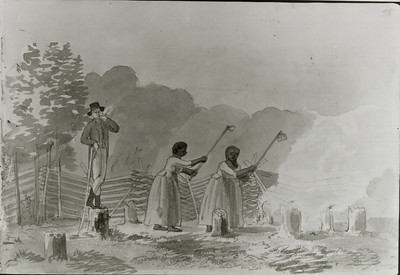 Enslaved women, clearing a field, under the eyes of the overseer 