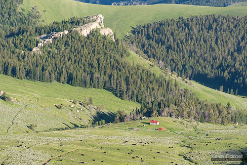 bighornmountains bighornnationalforest wyoming freezeoutpoint july summer nikond750 evening nikon180mmf28 telephoto cabin red cows grazing valley scenic view overlook green grass pasture