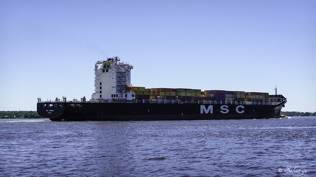 MSC Carmen - Container Ship
