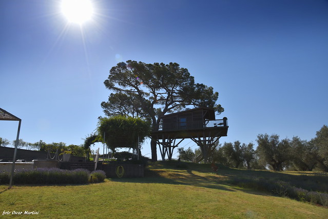 Un bel panorama della casa sugli alberi realizzata presso La Piantata di Arlena di Castro VT.