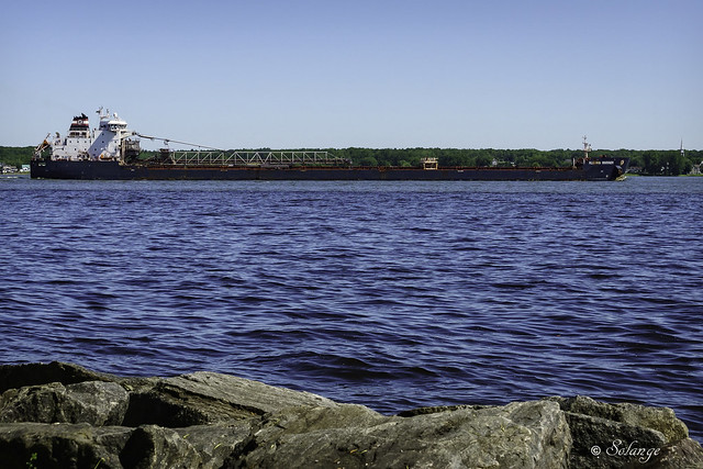 The Algoma Mariner navigating the St. Lawrence River.