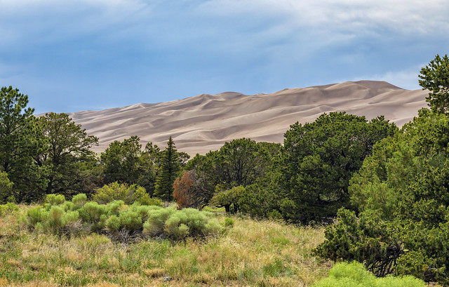 Sand Dunes from campground area