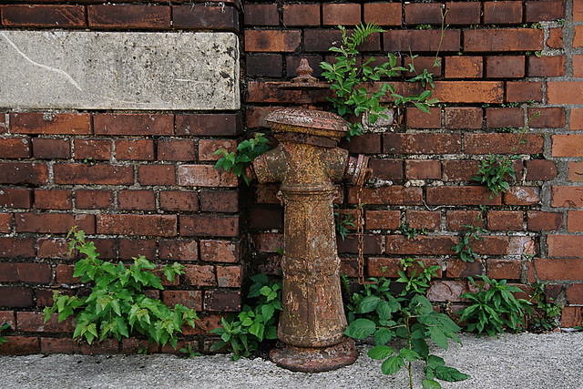 old fire hydrant / alter Hydrant