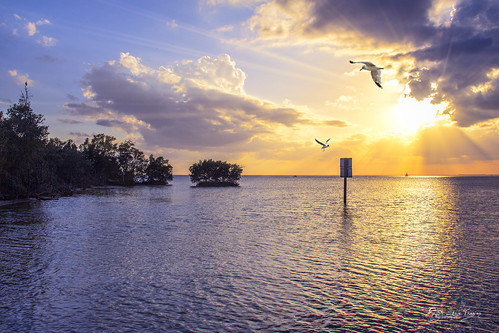 stevefrazierphotography photographer sailboat vessel seagulls birds channelmarker sign water sunset bay harbor charlotteharbor charlottecounty puntagorda poncedeleon historicalpark beach sand rocks clouds sun rays beams evening beautiful tranquil tranquility peaceful serene colorful waves reflection composite light inlet island mangroves shore shoreline scene waterscape landscape cloudy yellow blue scenery