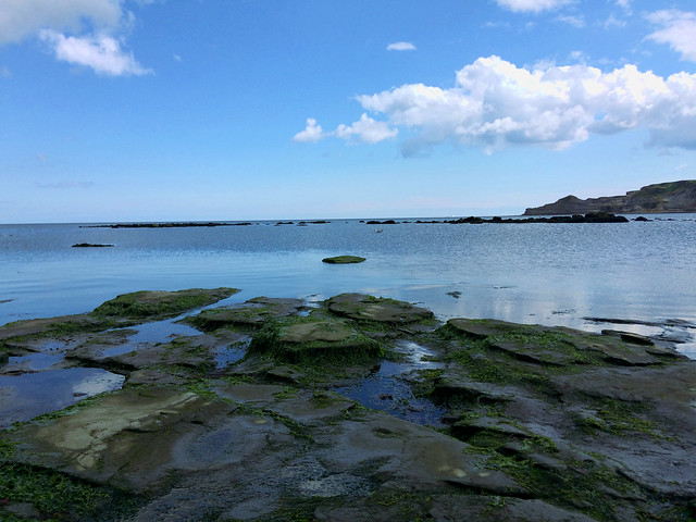 Rocks in Runswick Bay
