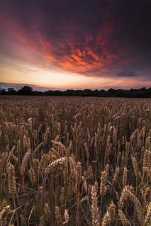 Lower Beeding Sunset - Sussex