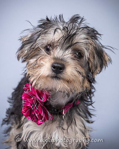 My name is Taffy | Photo by: Alfred Kirst III (www ...