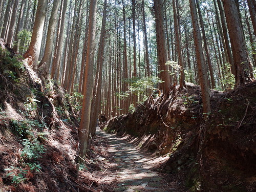 熊野古道 中邊路 日本 japan 田邊 和歌山 kumanokodo