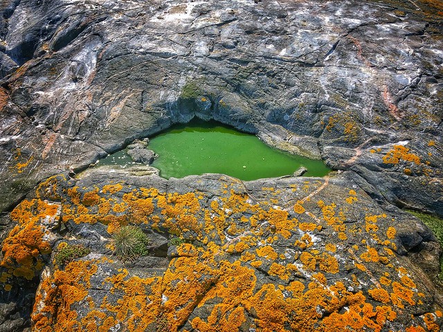 The green lake