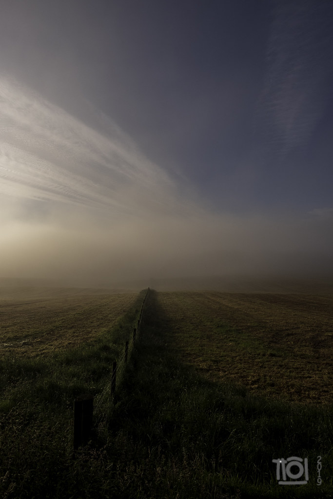Misty sunrise near Cragganmore (2)