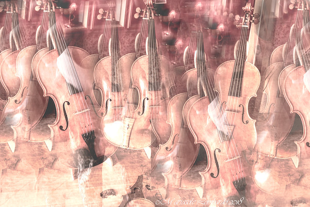 Symphony of violins