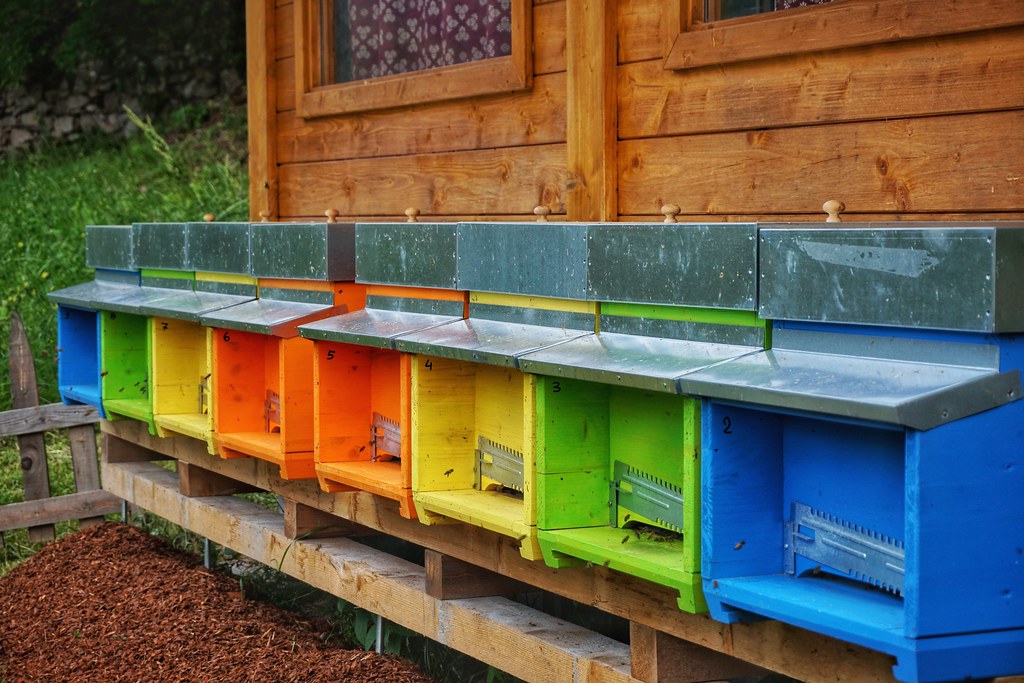 Rainbow coloured beehives at Bee Wellness Contadino in Trentino, Italy