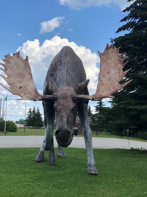 Hurst - Bull Moose