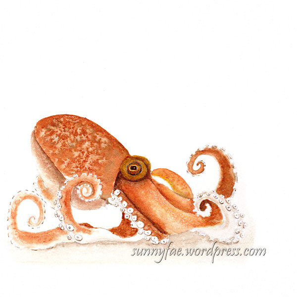 octopus day 25