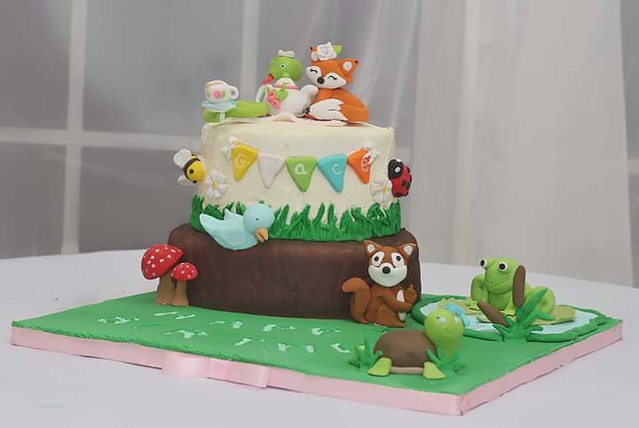 Cake by Sonya Wilson