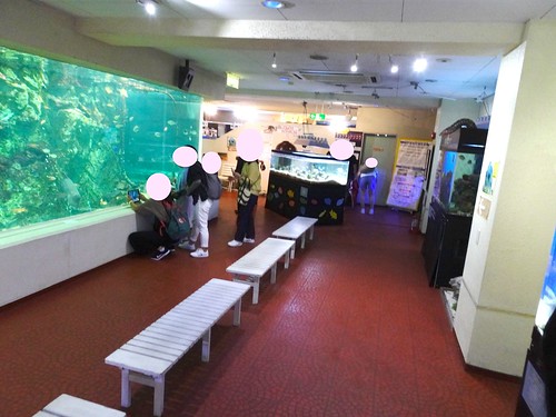 淡島マリンパーク水族館