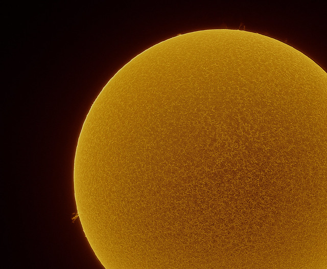 Sun ... With A Few Small Prominences