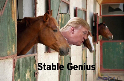 Stable Genius