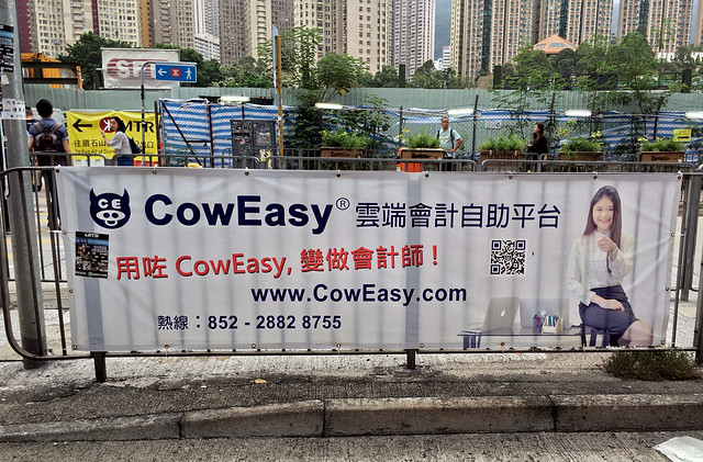Cow Easy