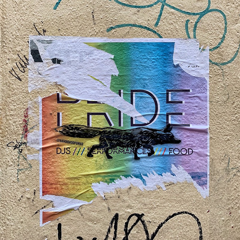 Gay Pride Fox - Lisbon