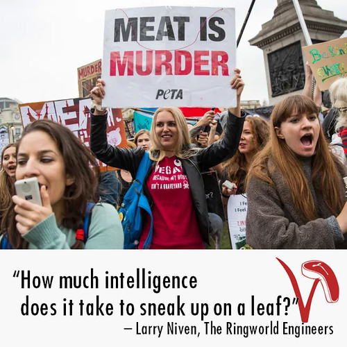 How Much Intelligence? | by The Graphic Details