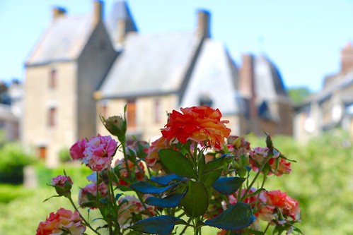 lassayleschâteaux mayenne roseraie roses château